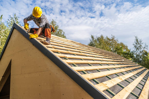 Best Flat Roof Repair Services  in Maize, KS